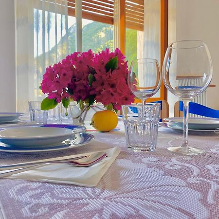 Lake Como Victoria Apartment Oliveto Lario Exterior photo